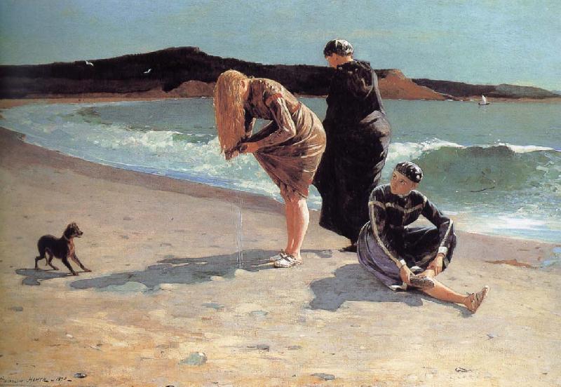 Winslow Homer Special Yingtou Coast Sweden oil painting art